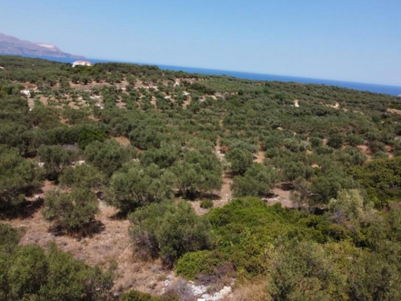 Plaka Chania Kreta, Plaka Chania: Unglaubliches bebaubares Grundstück zu verkaufen Grundstück kaufen